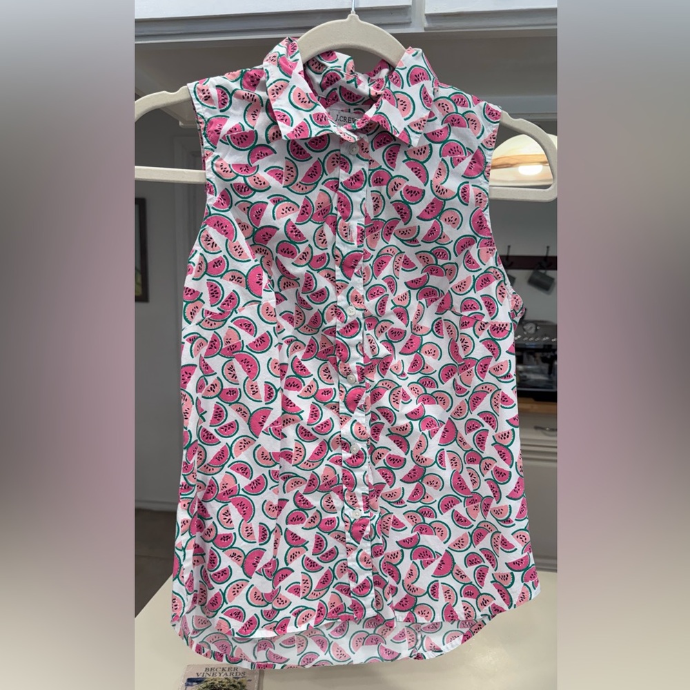 J. Crew Pink and Green Watermelon Print Top